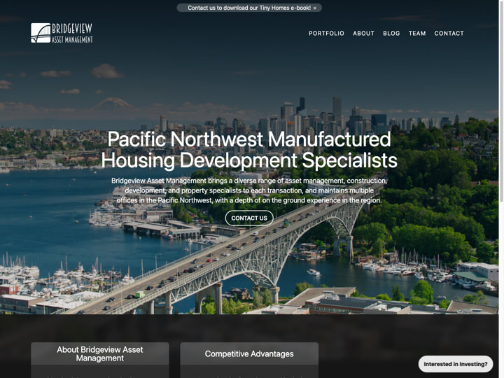 Bridgeview Asset Management Website Design by Efinitytech Seattle