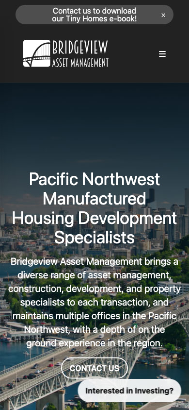 Bridgeview Asset Management Mobile Website Design by Efinitytech Seattle