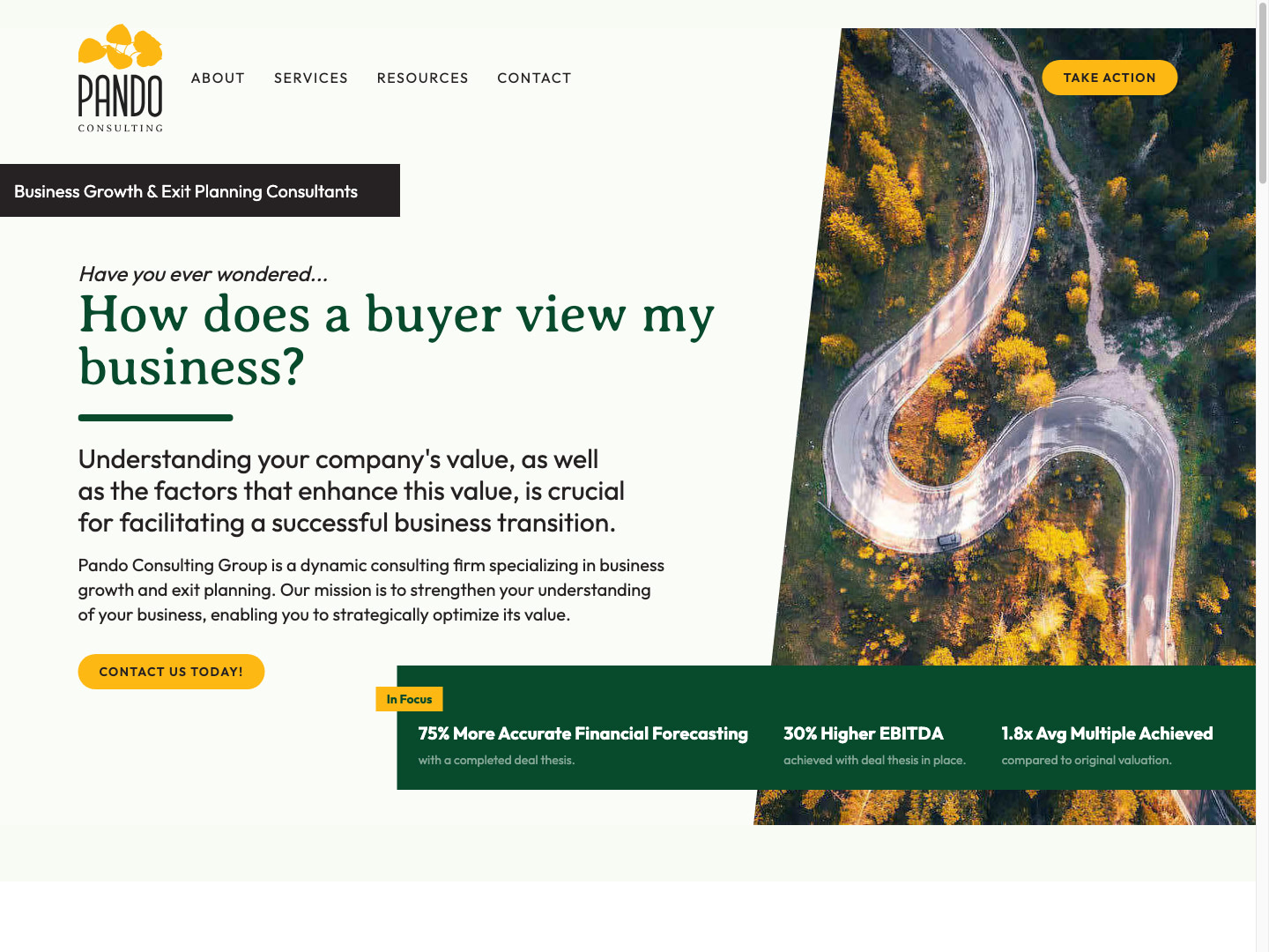 Pando Consulting Group Website Design by Efinitytech Seattle