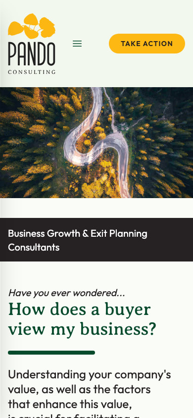 Pando Consulting Group Mobile Website Design by Efinitytech Seattle