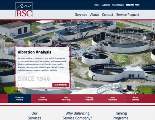 Balancing Service Website Design by Efinitytech Seattle