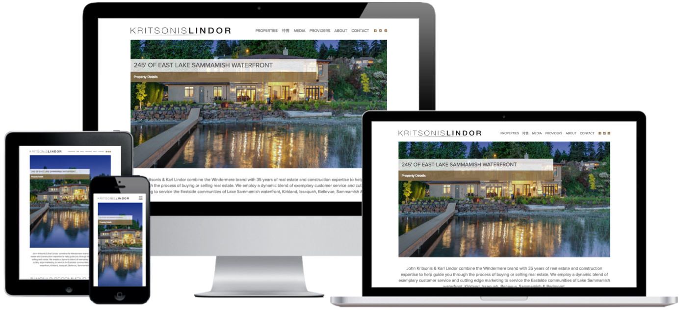 Kritsonis & Lindor Website Design by Efinitytech Seattle